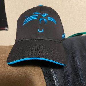 Carolina panthers